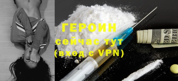 дмт Тайга
