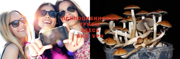 эйфоретик Тихвин