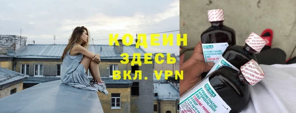 индика Соль-Илецк