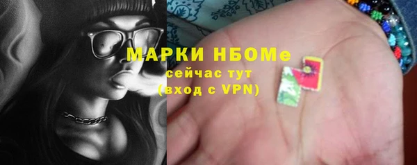 прущие грибы Тобольск