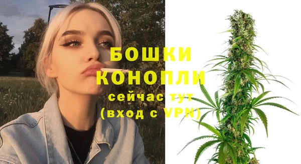 прущие грибы Сясьстрой