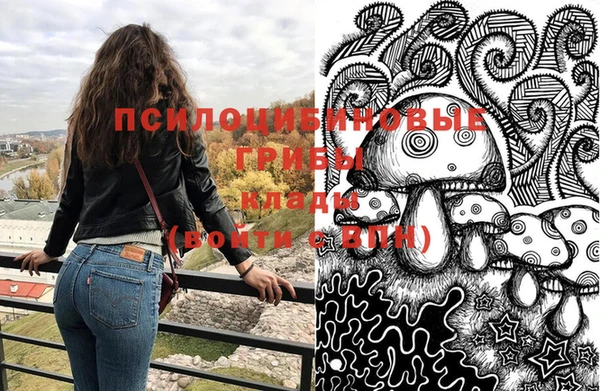 эйфоретик Тихвин