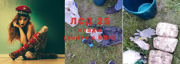 прущие грибы Тобольск