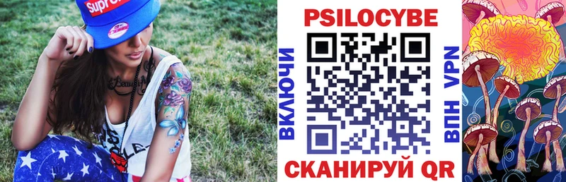 Галлюциногенные грибы Magic Shrooms  где можно купить   Ясногорск 